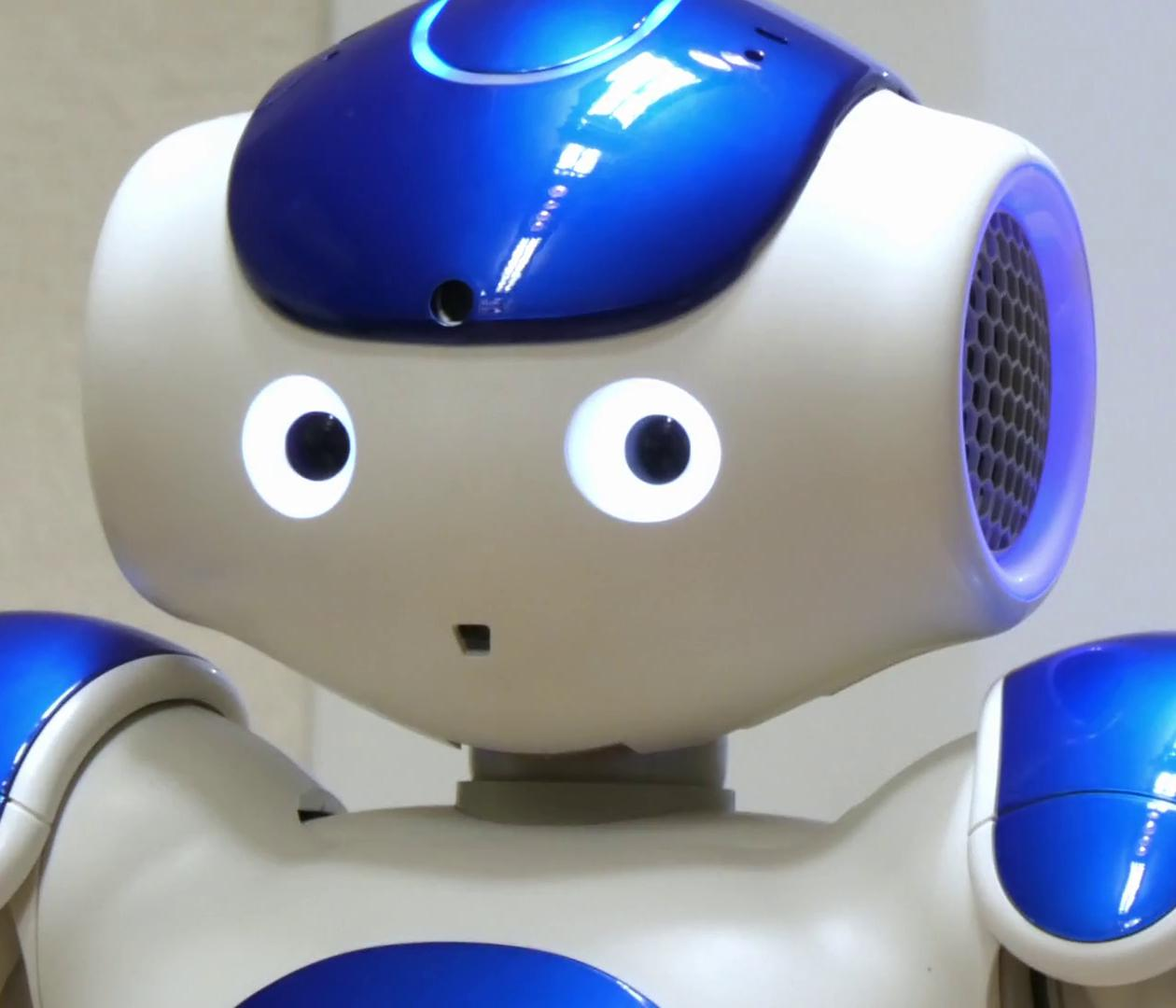 Child-Robot Interaction project preview