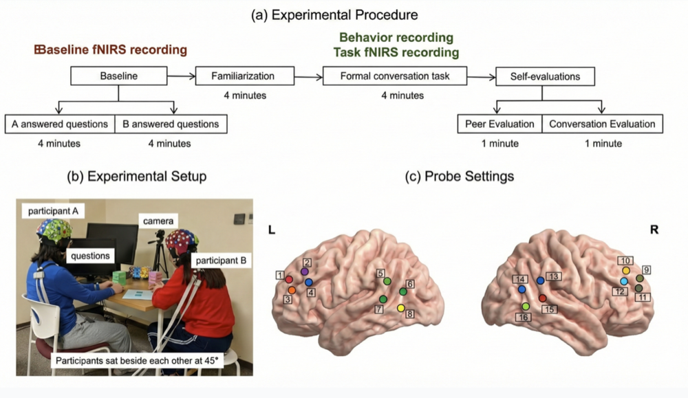 pub-cerebral-cortex-sync.png